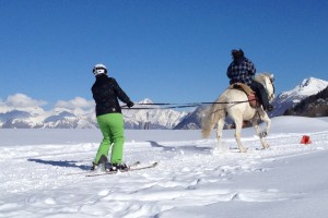 skijoering
