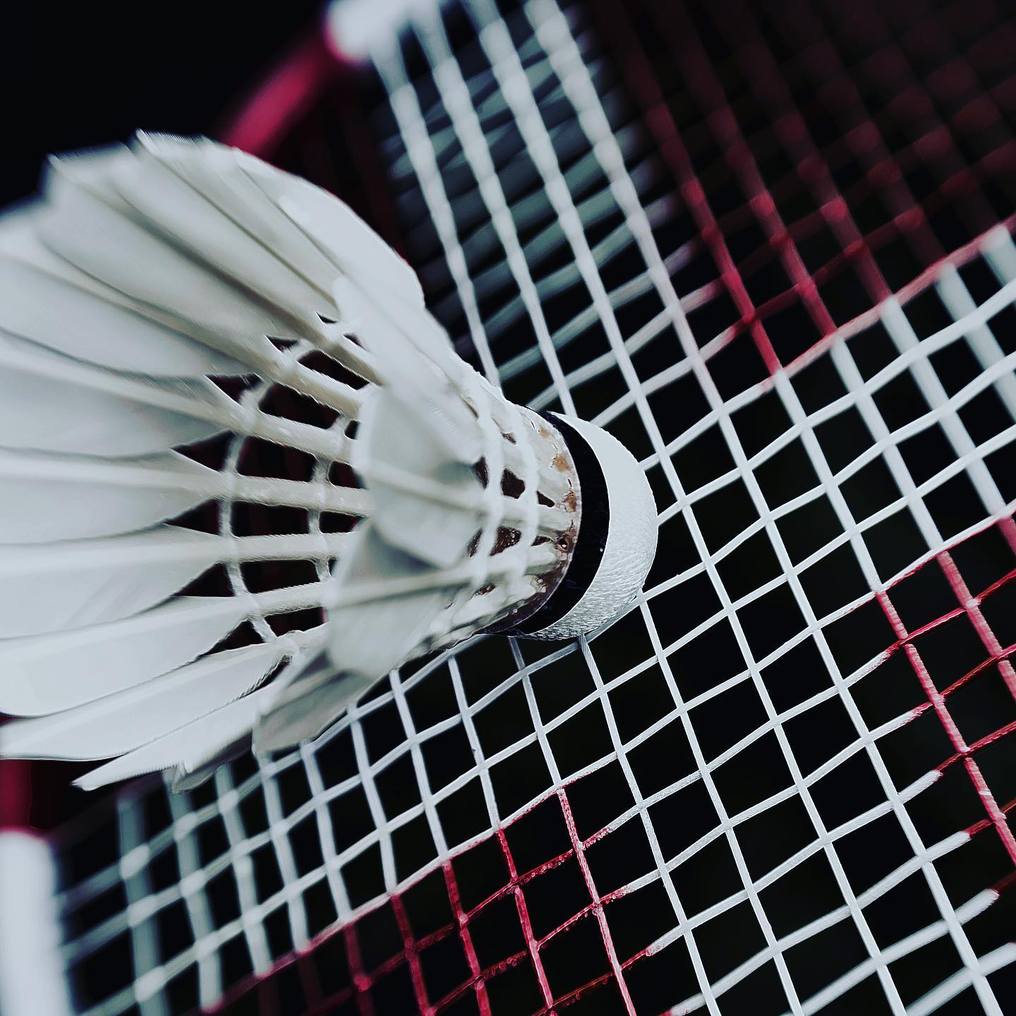 Le @bcvevey organisera un tournoi des Swiss Badminton Junior Series le weekend du 2-3 avril 2022. Les jeunes joueuses et joueurs du pays (U13, U15, U17 et U19) s’affronteront dans les disciplines des doubles. Les inscriptions sont ouvertes jusqu’au 6 mars 2022 via le site de Swiss Badminton. #swissbadmintonjuniorseries